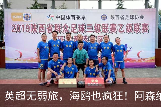 英超无弱旅，海鸥也疯狂！阿森纳3球惨败，拉亚成了远射背景板